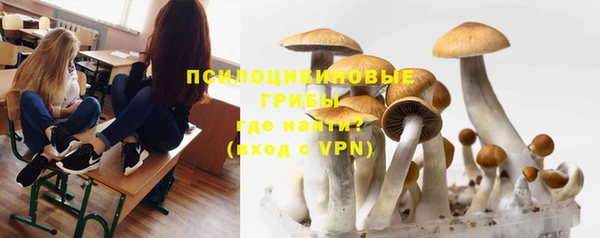 тгк Семёнов