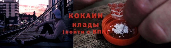 тгк Семёнов