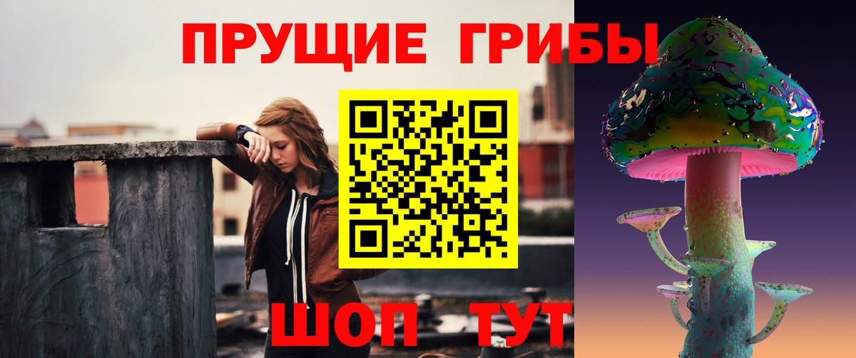 Елец  Псилоцибиновые грибы Psilocybine cubensis  даркнет сайт  Вход с VPN 