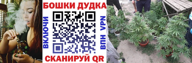 Каннабис ГИДРОПОН  omg ССЫЛКА  Елец 